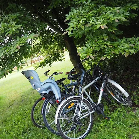 Agroturystyka Pod Orzechem Jarszewko Exterior foto