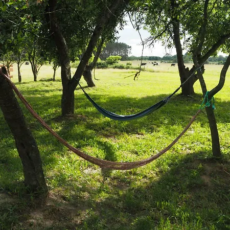 Agroturystyka Pod Orzechem Jarszewko Exterior foto